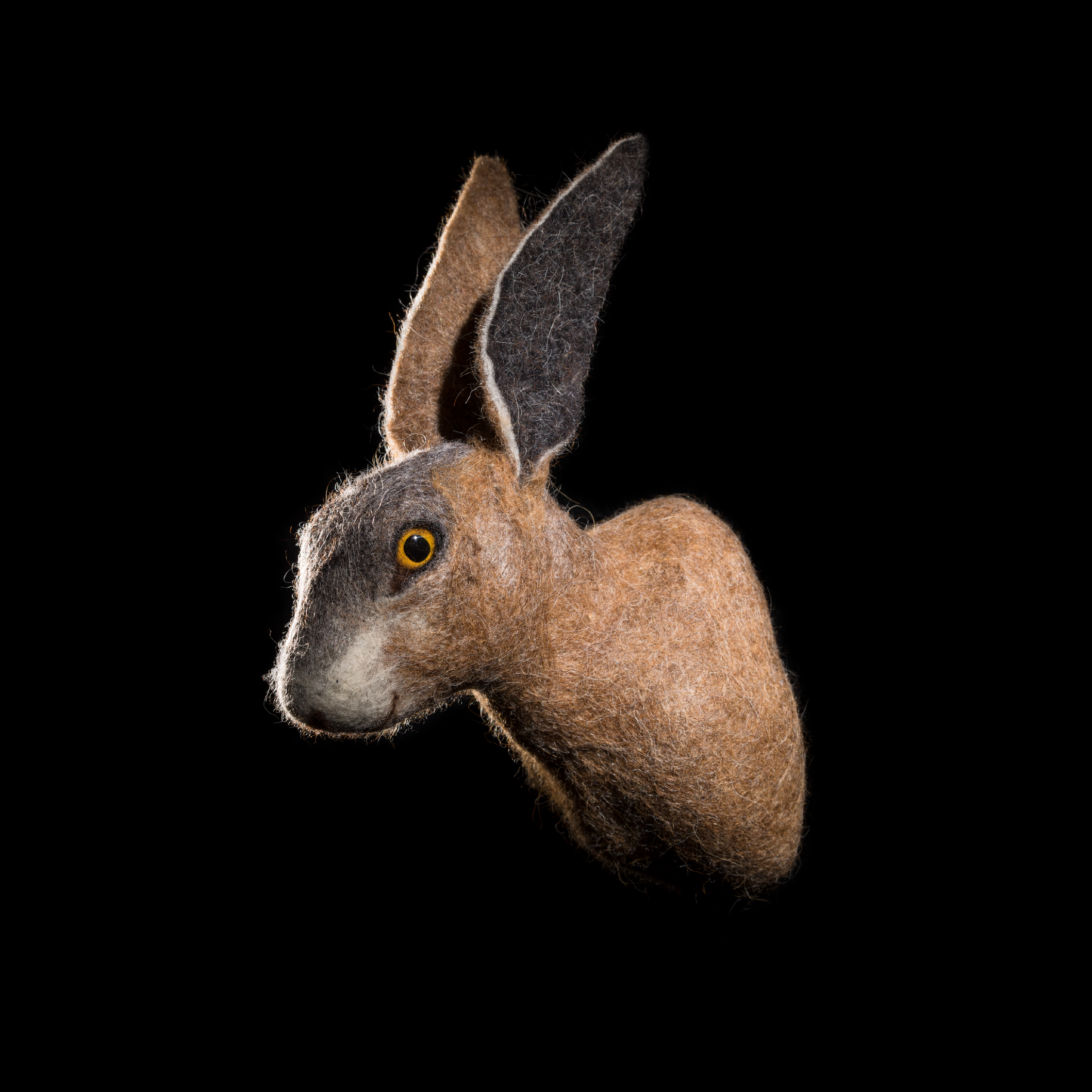 starkebeest - lebensgroße, realanatomische Wandtrophäen - originelle Kunst für Ihr Zuhause - Hase