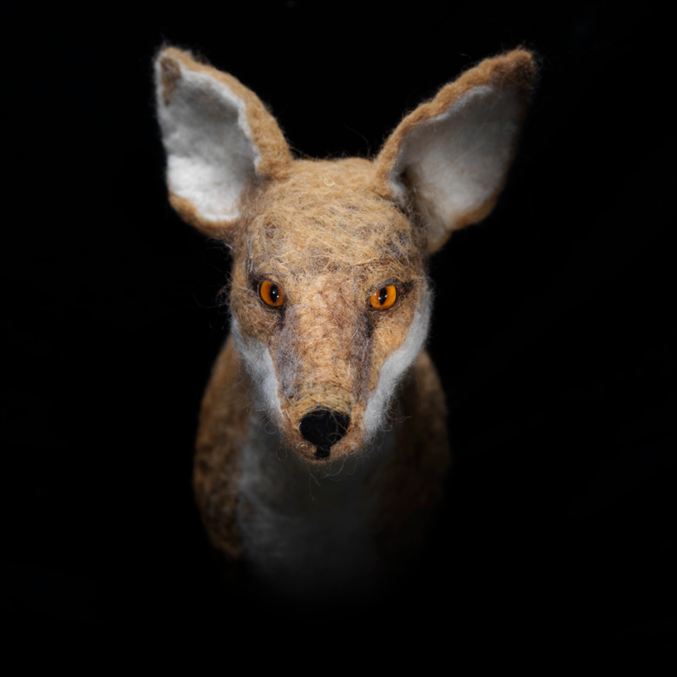 starkebeest - lebensgroße, realanatomische Wandtrophäen - originelle Kunst für Ihr Zuhause - Fuchs