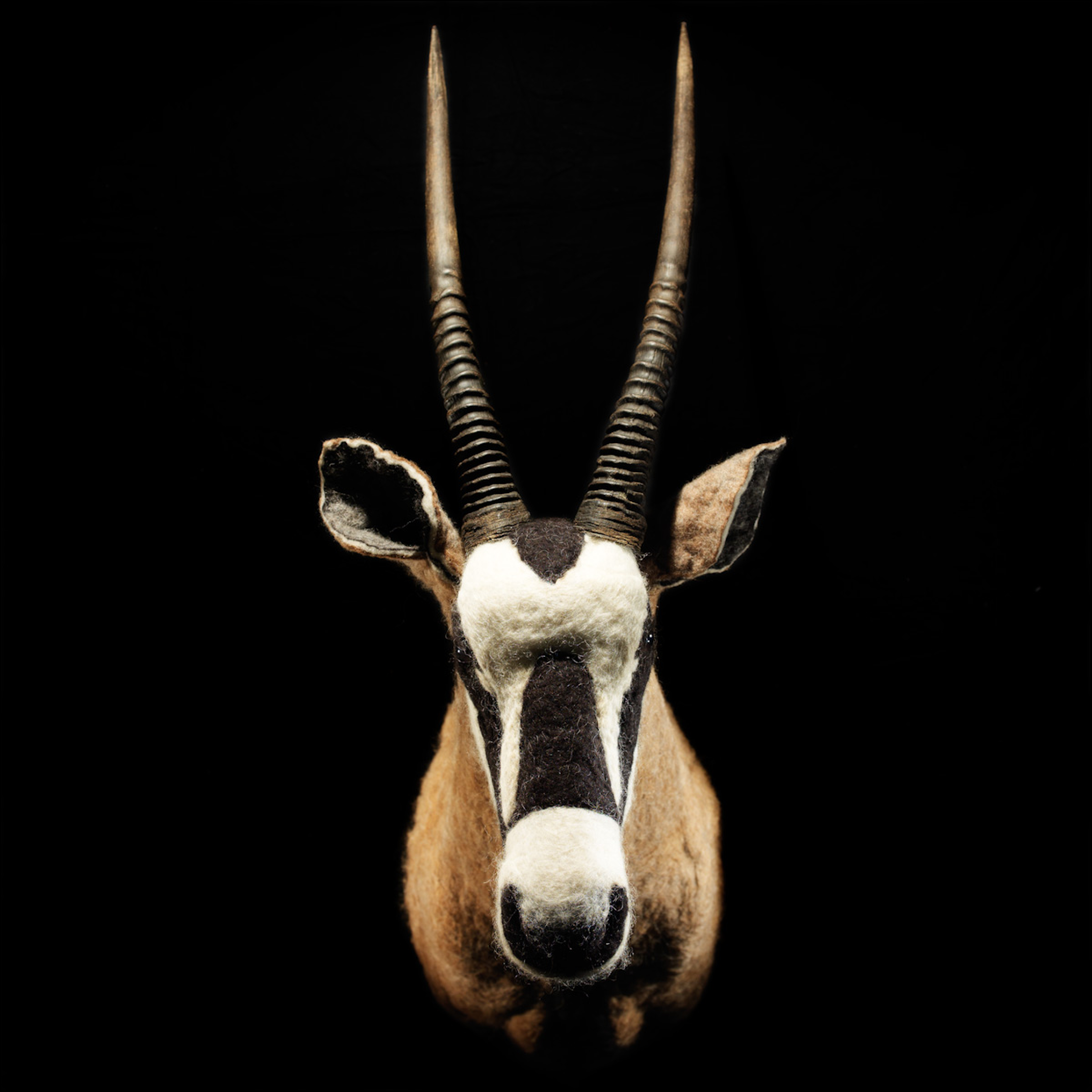 starkebeest - lebensgroße, realanatomische Wandtrophäen - originelle Kunst für Ihr Zuhause - Oryx Antilope