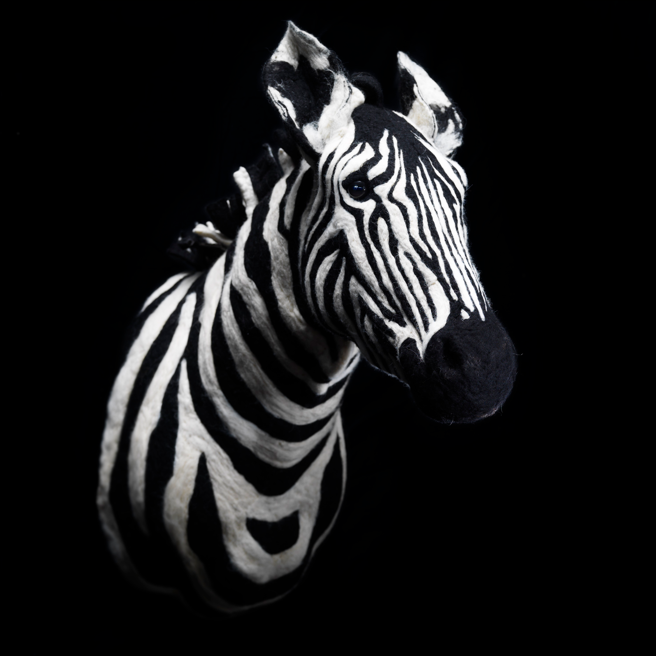 starkebeest - lebensgroße, realanatomische Wandtrophäen - originelle Kunst für Ihr Zuhause - Zebra